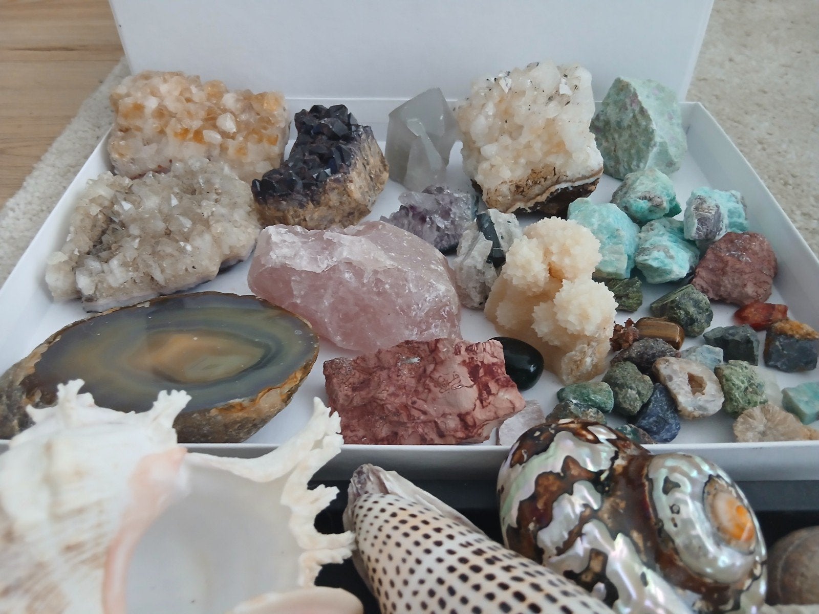 Verzameling kristallen, mineralen en schelpen, Verzamelen, Ophalen, Mineraal