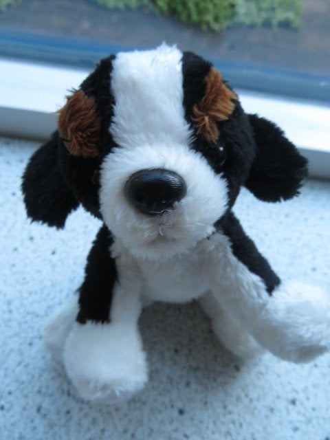 Hond hondje Berner Sennen merk Paws meet ca 18 cm, Korrelvulling, Zo goed als nieuw, Klein (minder dan 20 cm), Hond