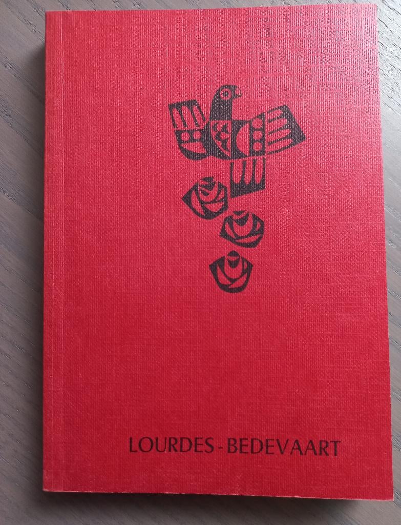 Pelgrimsboekje Lourdes bedevaart, Verzamelen, Religie, Ophalen of Verzenden, Zo goed als nieuw, Boek, Christendom | Katholiek