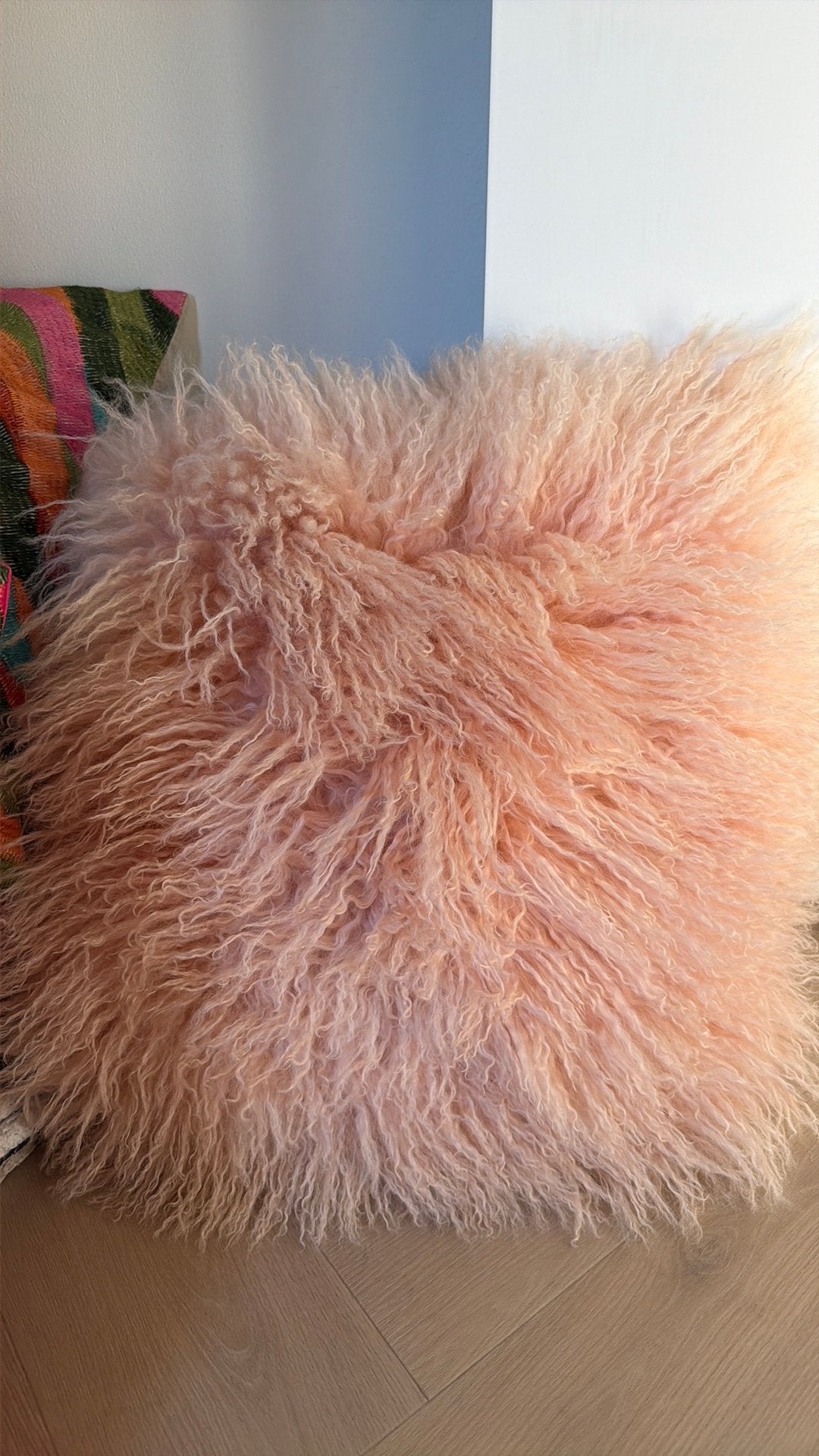 2 sierkussens, Ophalen of Verzenden, Zo goed als nieuw, Rechthoekig, Minder dan 50 cm