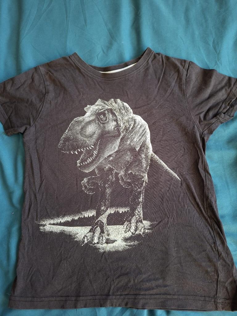 Zwart shirt met Dino print maat 140 !!, Kinderen en Baby's, Kinderkleding | Maat 140, Ophalen of Verzenden, Gebruikt, Jongen, Shirt of Longsleeve