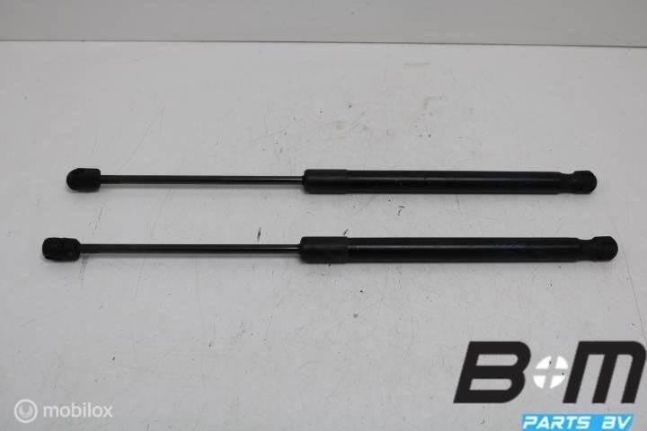 Set gasdrukveren achterklep VW Passat B6 3C9827550C, Gebruikt