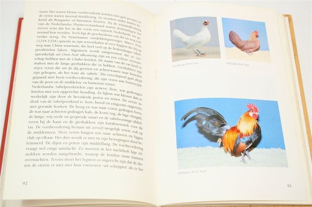 Kippen Nederland — Rassen & Verzorging Handboek, Ophalen of Verzenden, Gelezen, Vogels