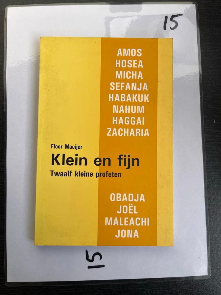 Klein en fijn: Twaalf kleine profeten - Floor Maeijer, Ophalen of Verzenden, Zo goed als nieuw, Christendom | Protestants