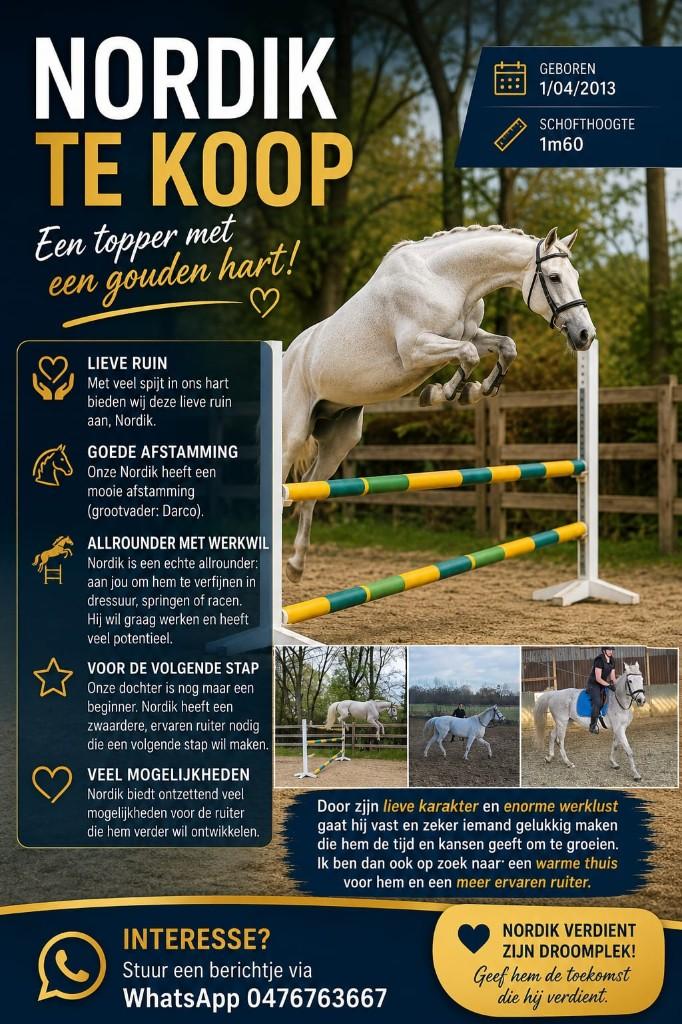 paard, Ophalen