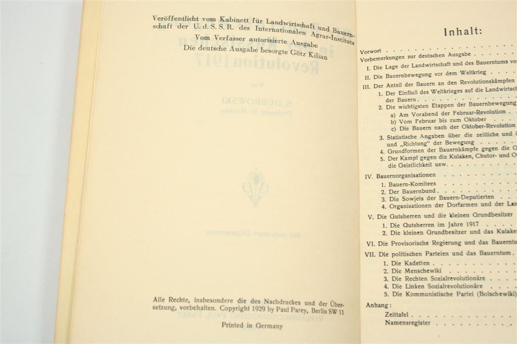 Die Bauernbewegung — Boerenrevolte Rusland 1917, Boeken, Ophalen of Verzenden, Gelezen, Europa