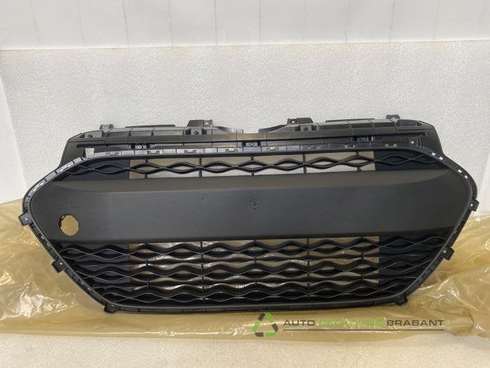 Grille van een Hyundai I10, 12 maanden garantie, -, -, Nieuw