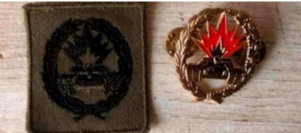 Landmacht Setje Pantser bestrijding Vaardigheidsemblemen -2, Verzamelen, Militaria | Algemeen, Verzenden, Landmacht, Nederland