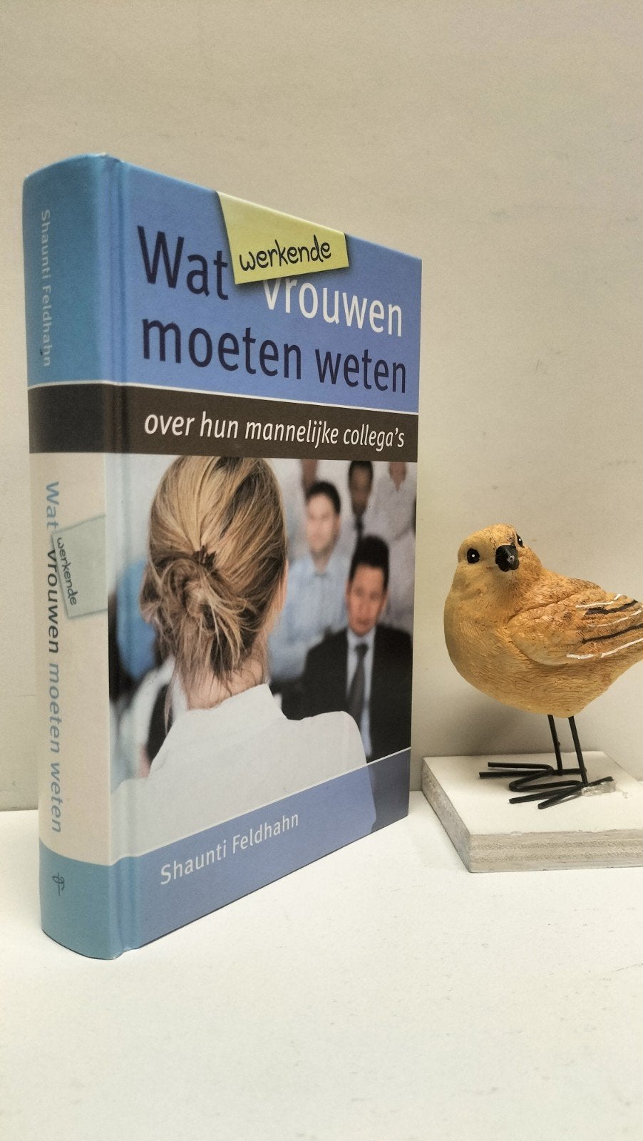 Feldhahn, Shaunti; Wat werkende vrouwen moeten weten, Ophalen of Verzenden, Gelezen