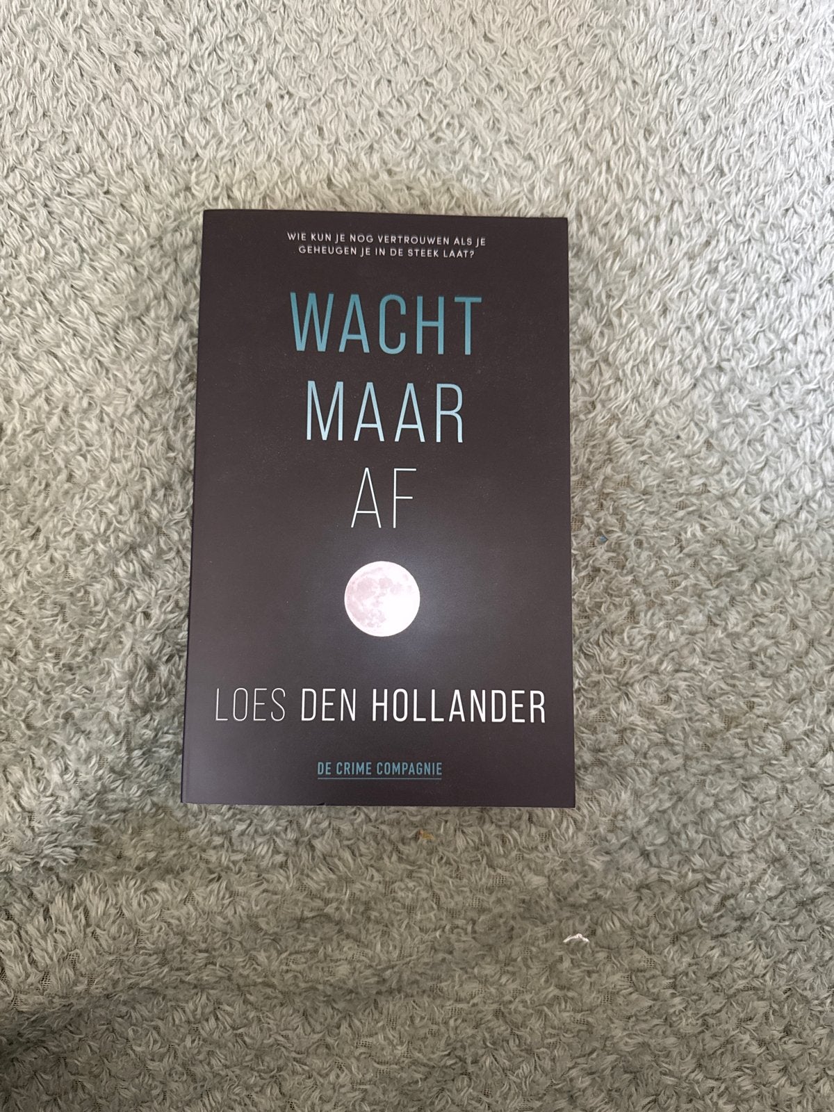 Wacht Maar Af - Loes den Hollander (Thriller), Boeken, Ophalen of Verzenden, Zo goed als nieuw, Nederland