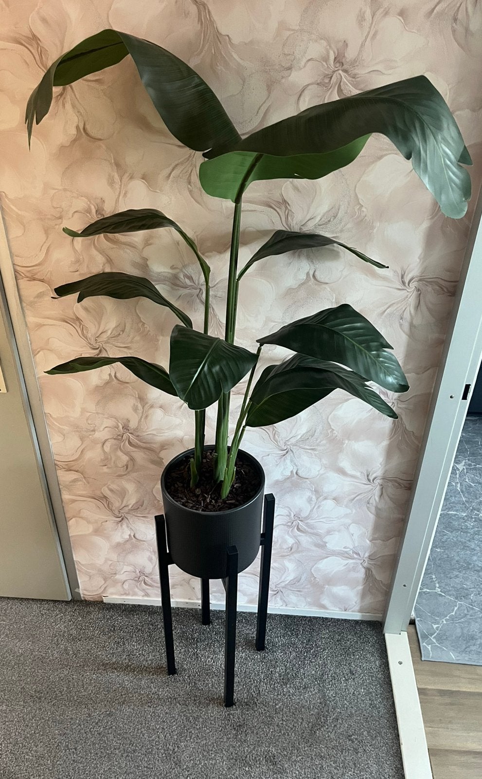 Mooie kunst Strelitzia plant van +160 cm hoog, Huis en Inrichting, Ophalen, Halfschaduw