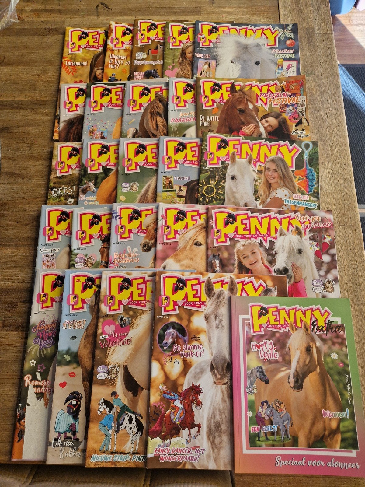 26 Penny tijdschriften - Paarden en pony's (2024), Ophalen of Verzenden, Gelezen, Sport en Vrije tijd