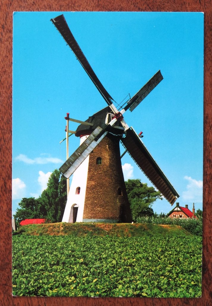 Colijnsplaat "De Oude Molen", Verzamelen, Ansichtkaarten | Nederland, Noord-Brabant, Voor 1920, Ophalen of Verzenden
