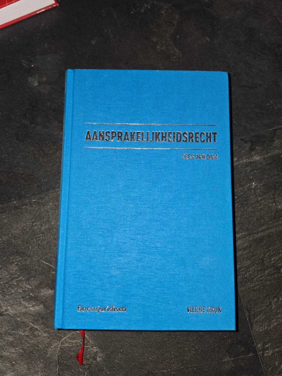 Aansprakelijkheidsrecht - Kees van Dam (Vierde Druk), Kees van Dam, Ophalen of Verzenden, Gamma, WO
