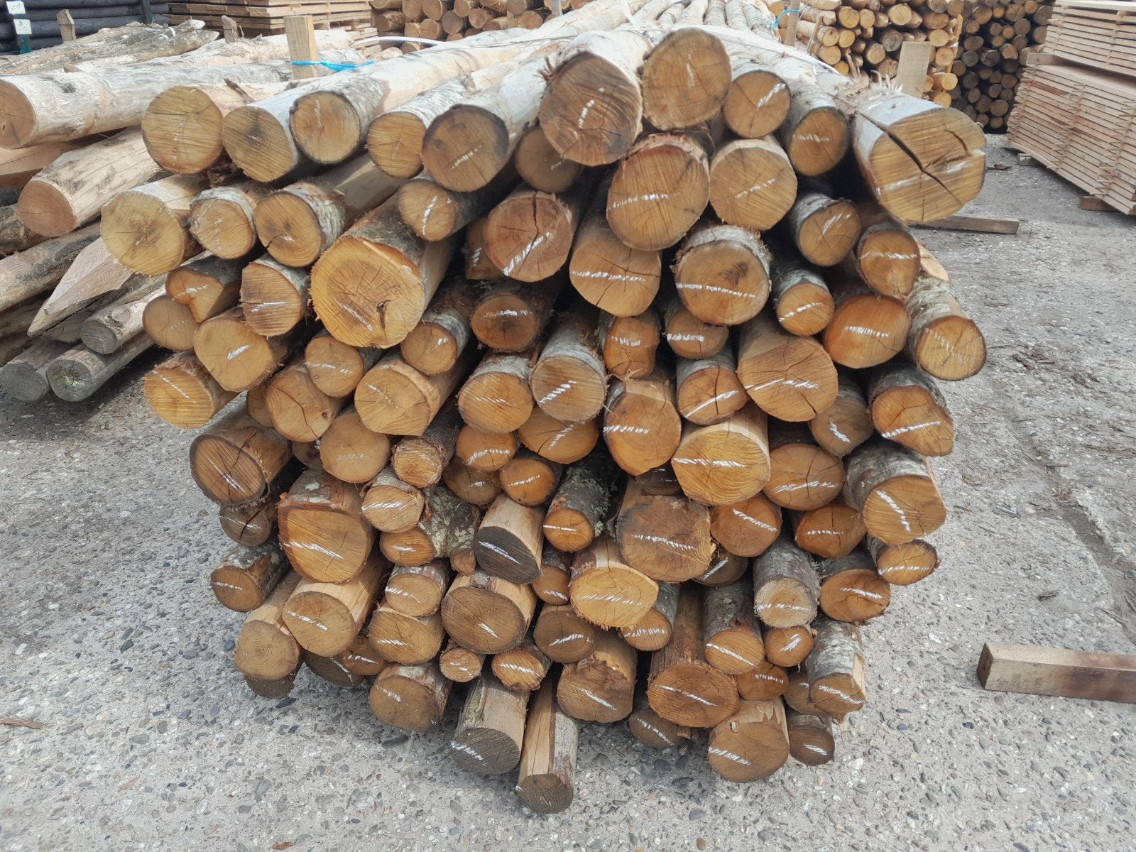 Kastanjehouten palen voor tuinverlichting 500cm lang 12/14cm, Ophalen, Nieuw, 250 cm of meer, Palen