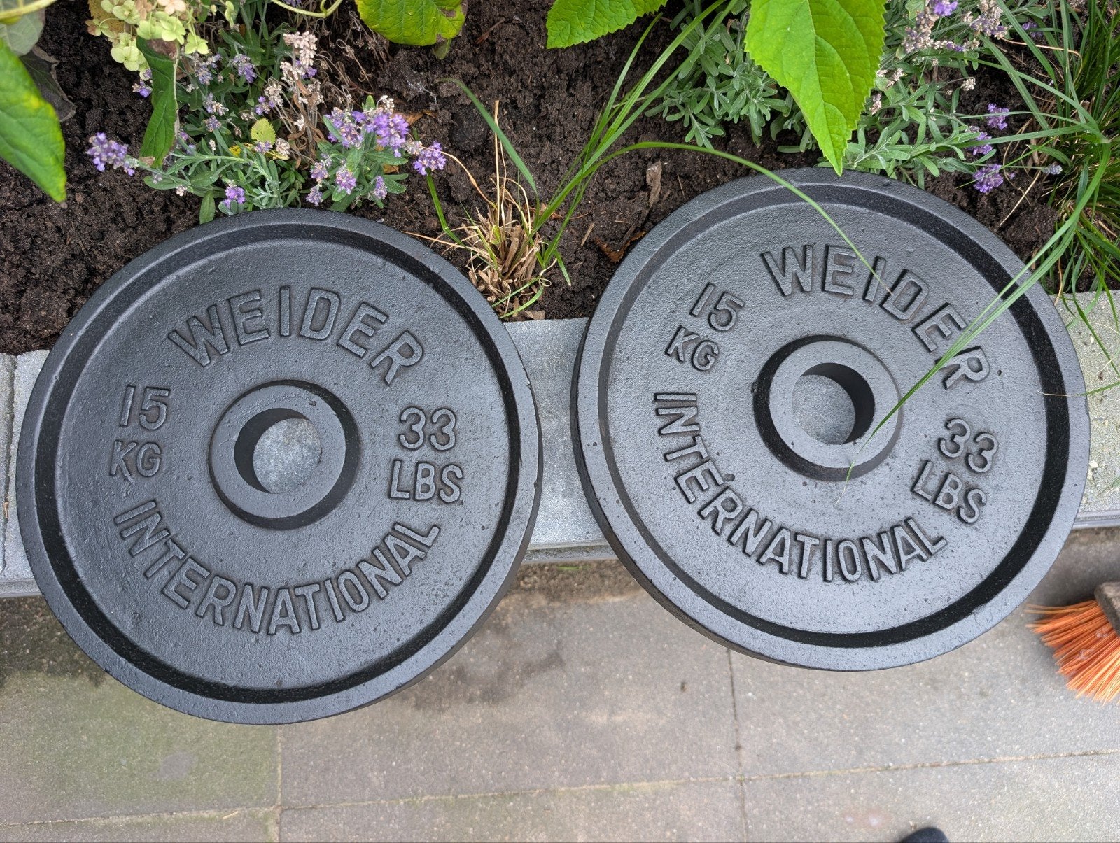 Weider International Vintage Gietijzeren Halterschijven 50mm, Ophalen, Gebruikt