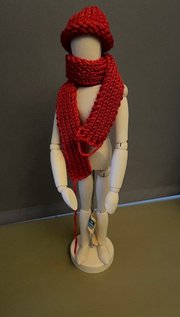 Tekenpop muts en sjaal,uniek,gekkigheid,cadeau., Ophalen of Verzenden, Nieuw, Overige typen