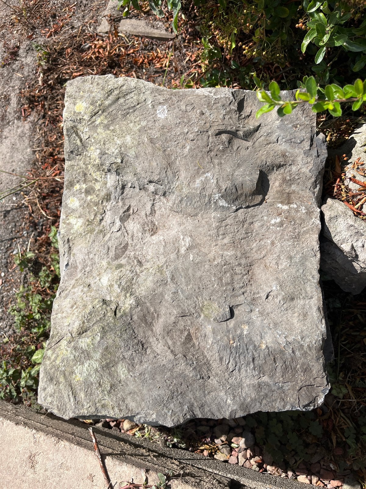 Grote natuursteen rotsblokken voor tuin of decoratie, Ophalen, Overige materialen, Gebruikt, Kei