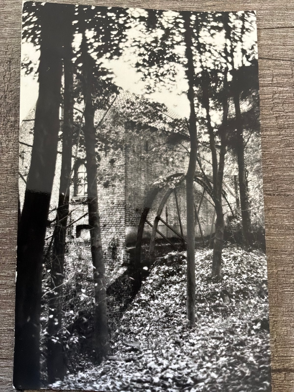 Mook de Bovenste Plasmolen, Verzamelen, Verzenden, 1960 tot 1980, Ongelopen, Limburg
