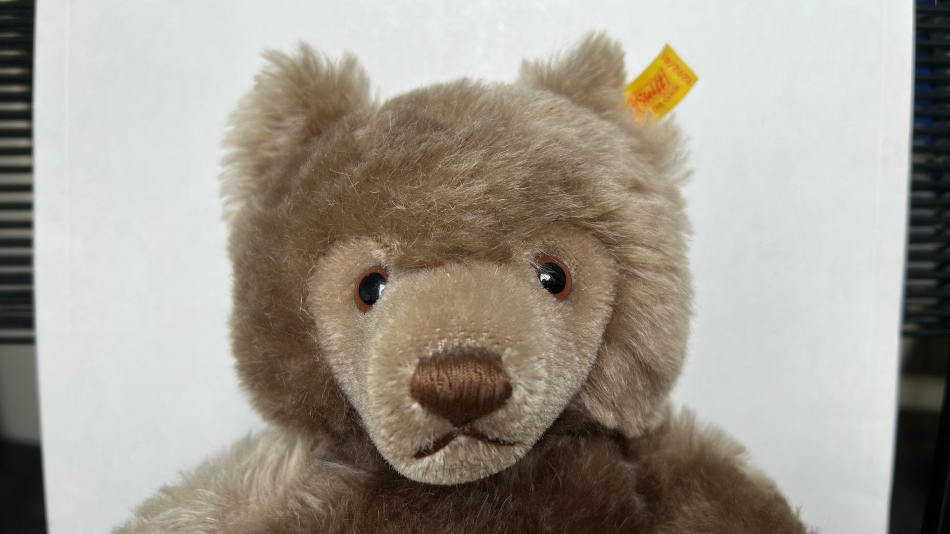 Steiff teddy beer 41 cm, Ophalen of Verzenden, Gebruikt, Stoffen beer, Steiff