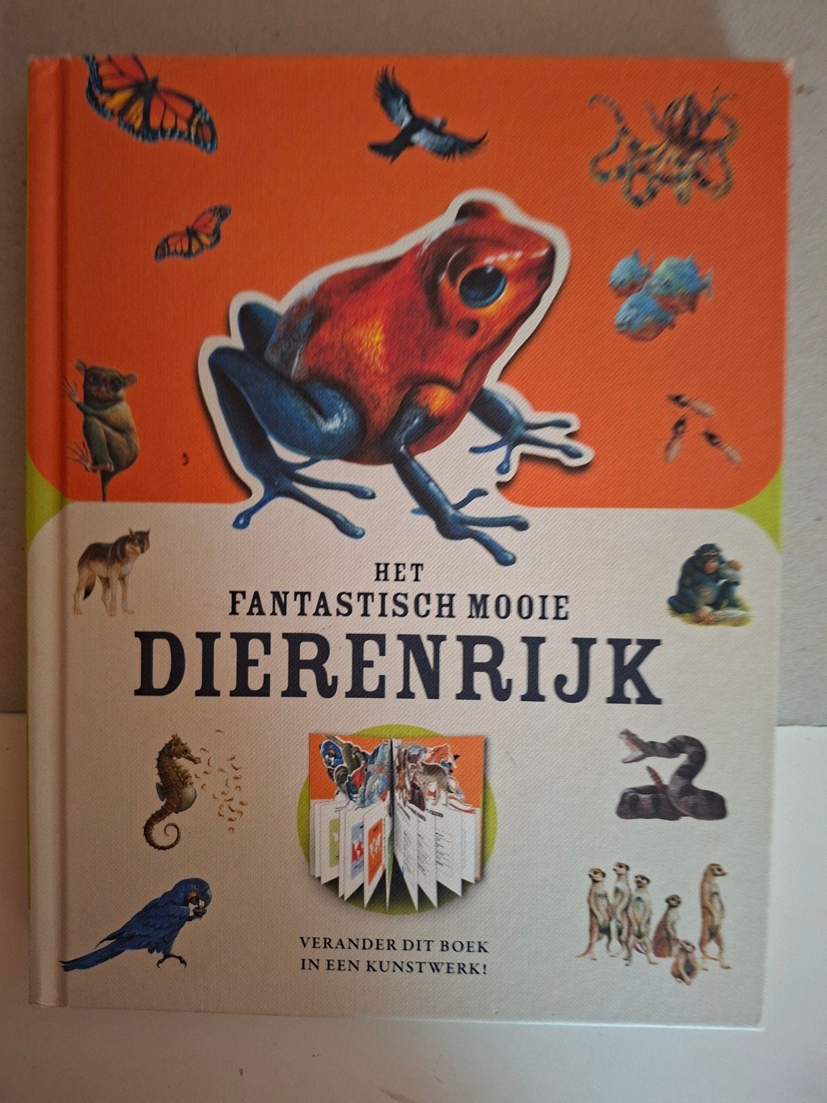Moira Butterfield - Het fantastisch mooie dierenrijk, Verzenden, Moira Butterfield, Non-fictie