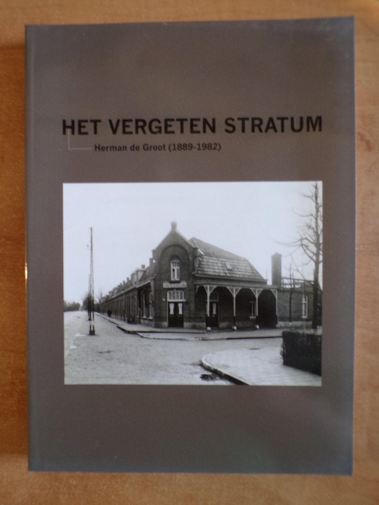 Het vergeten Stratum, Herman de Groot, Eindhoven, heemkunde, Boeken, Ophalen of Verzenden, 20e eeuw of later, Zo goed als nieuw