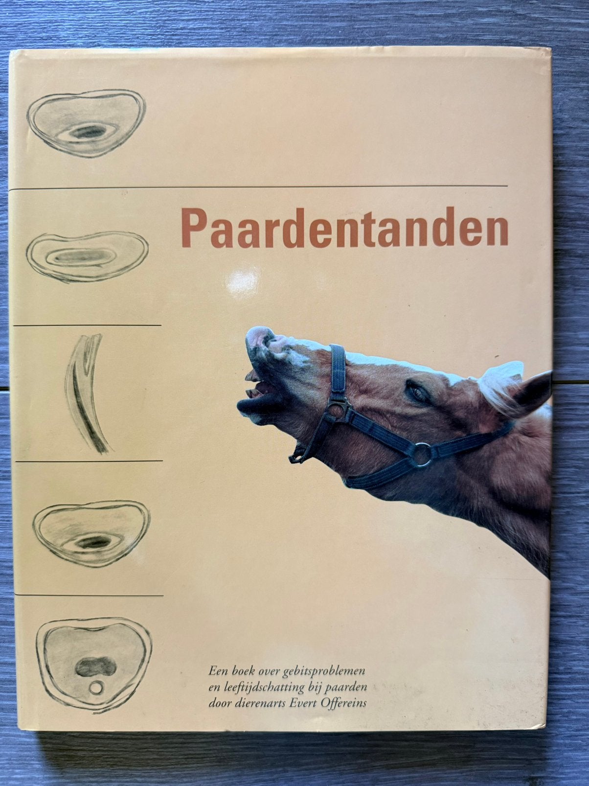 Paardentanden – Evert Offereins, Ophalen of Verzenden, Zo goed als nieuw, Paarden of Pony's