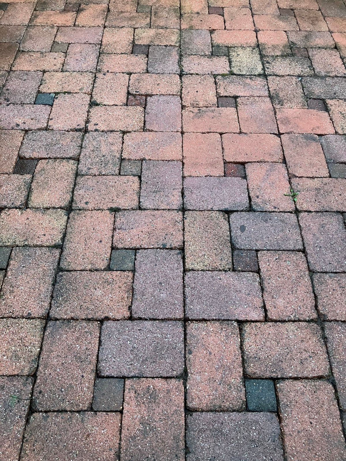 Gratis: Gebruikte terrastegels 20x30 cm en 10x10 + 15x15cm, Tuin en Terras, Ophalen, Gebruikt, 10 m² of meer, Beton