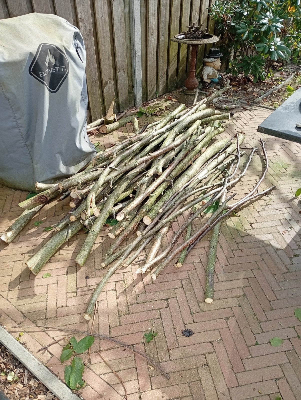 haardhout snoeihout gratis, Ophalen, 250 cm of meer, Palen