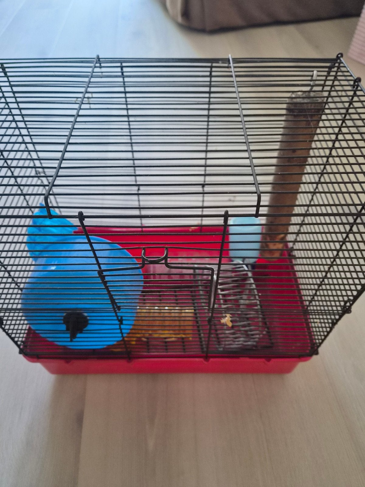 Gebruikte knaagdierenkooi (geschikt voor hamster of muis), Dieren en Toebehoren, Kooi, Gebruikt, Minder dan 75 cm, Hamster
