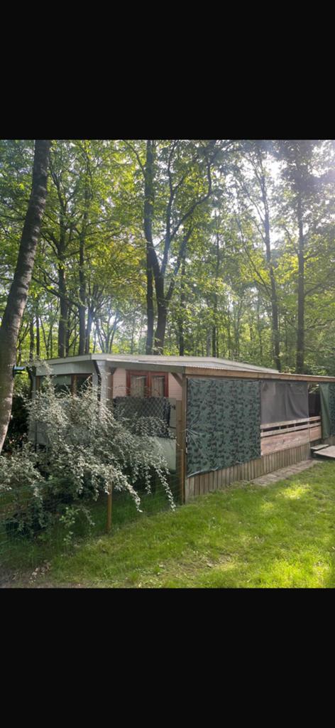 Stacaravan chalet Tiny House met staanplaats aan bosrand, Tot en met 4