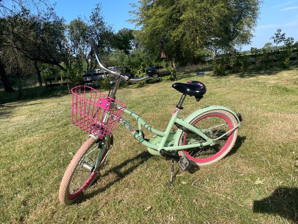 Alpina meisjesfiets 20 inch roze/groen, Ophalen, Terugtraprem, Gebruikt, ALPINA