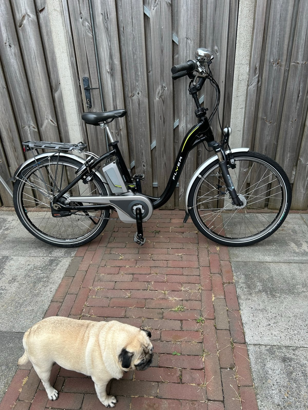 Flyer C-Serie E-bike met lage instap, lader en 2 sleutels, Fietsen en Brommers, Elektrische fietsen, Minder dan 47 cm, Ophalen