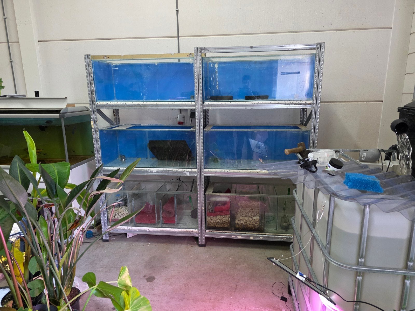 aquarium stelling!, Dieren en Toebehoren, Ophalen, Inclusief toebehoren, Gebruikt, Leeg aquarium