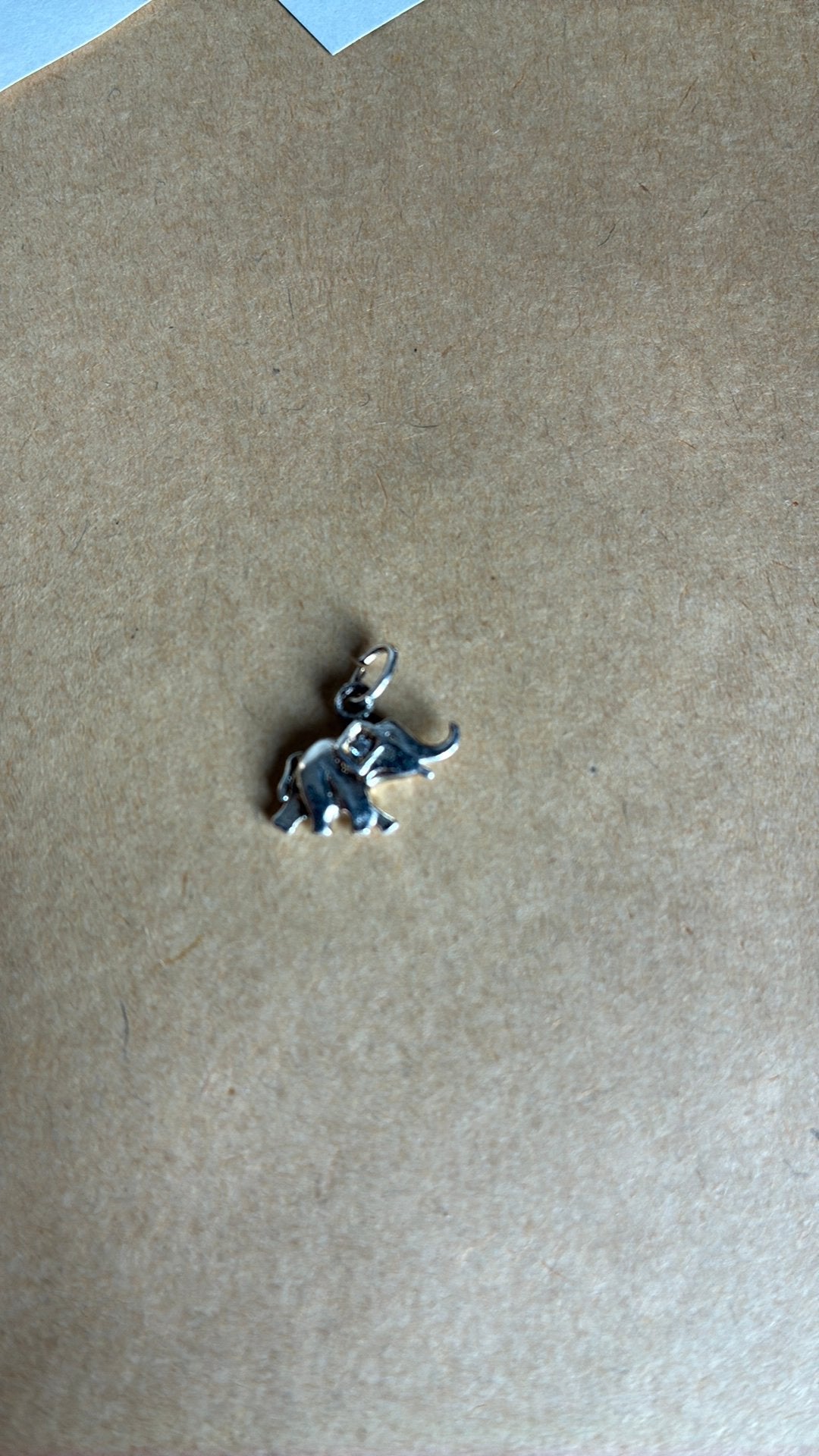 Kleine zilver hanger olifant met zirkonium, Gebruikt, Ophalen of Verzenden, Zilver, Dier