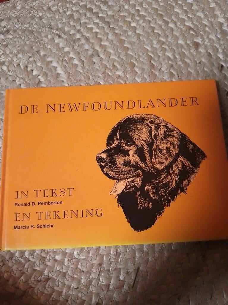 De Newfoundlander in tekst en tekening, Boeken, Ophalen of Verzenden