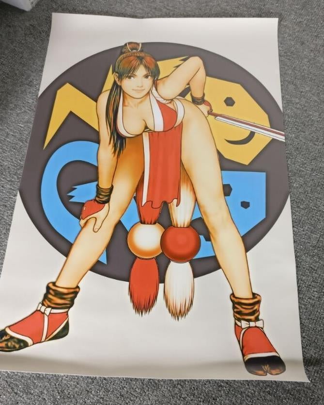 Grote SNK Neo Geo Mai King of Fighters 94 Game Poster, Spelcomputers en Games, Games | Overige, Vechten, Verzenden, 1 speler, Nieuw