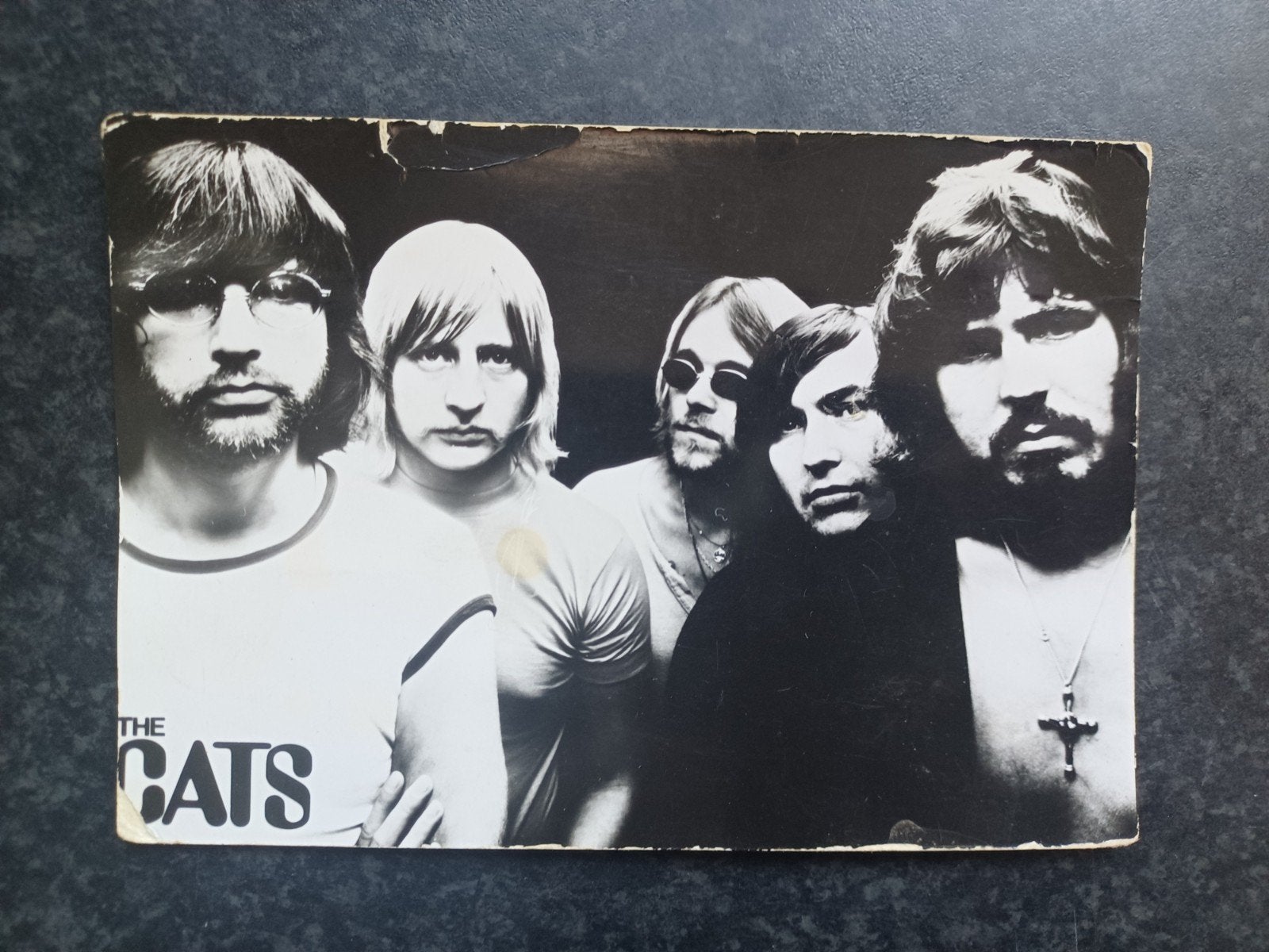 The Cats, Ophalen of Verzenden, 1960 tot 1980, Muziek