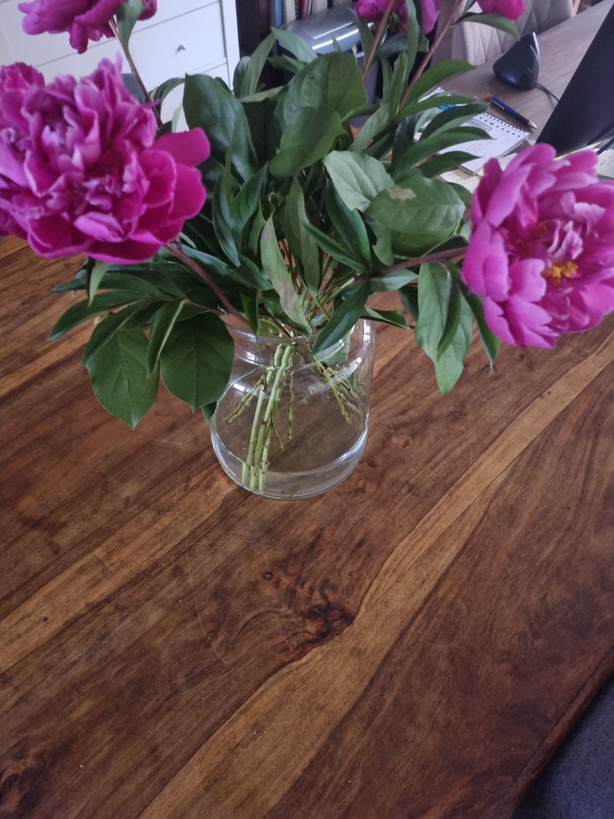 Vaas, Ophalen, Overige kleuren, Minder dan 50 cm, Glas