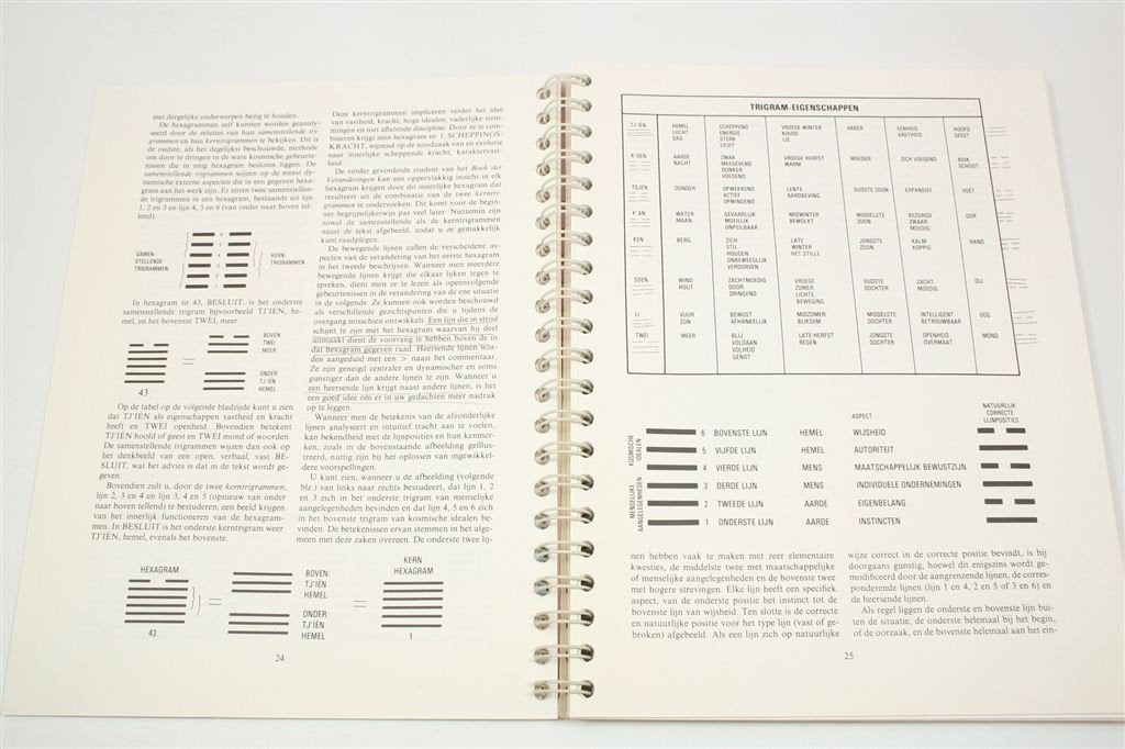 Het I Tjing Werkboek — Chinees Orakel, Groot Formaat, Ophalen of Verzenden, Gelezen, Overige onderwerpen, Achtergrond en Informatie