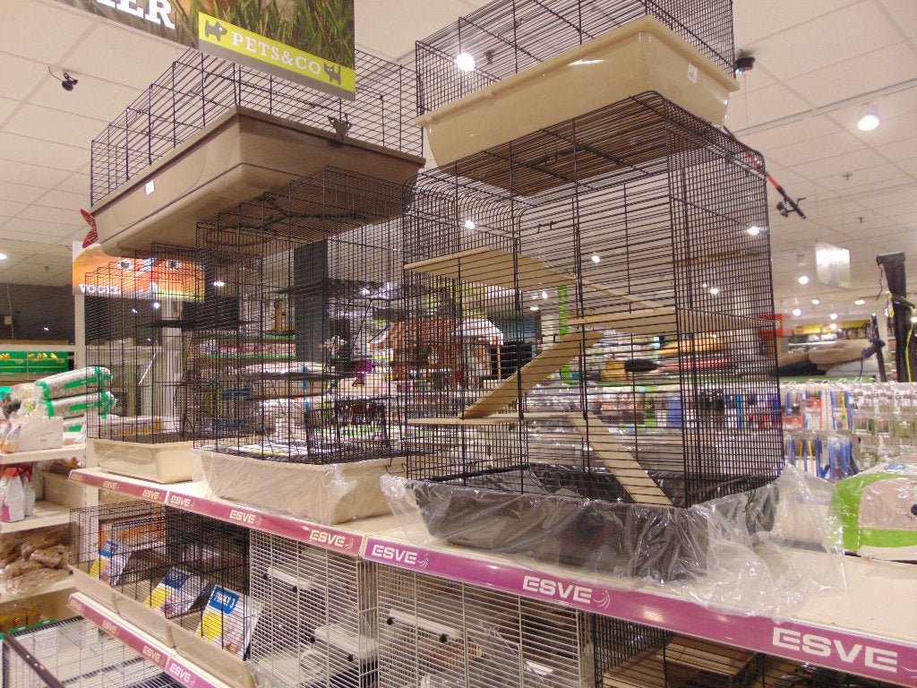 Hamsterkooien in Assen., Kooi, Hamster, Ophalen, Minder dan 60 cm