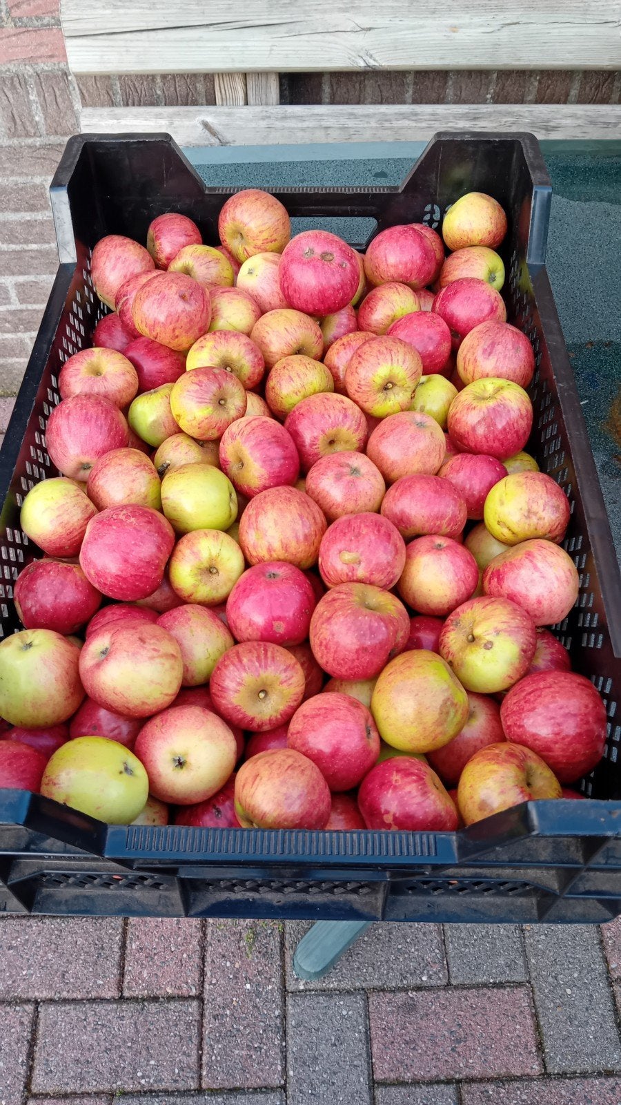 Zoete Kroon appels (DE appel voor hete bliksem), Diversen, Ophalen