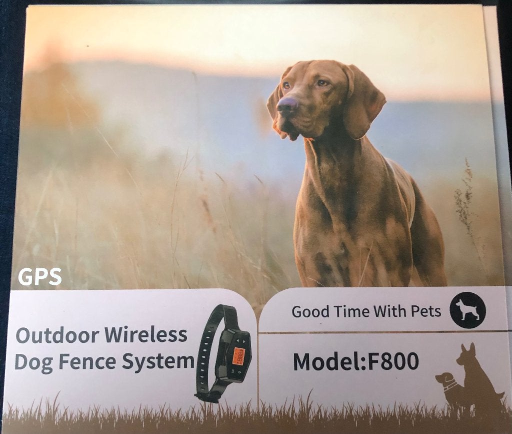 Gps band hond, Ophalen of Verzenden, Nieuw