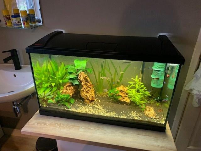 Te koop AQUARIUM, Ophalen, Zo goed als nieuw, Leeg aquarium