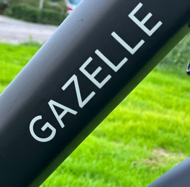 Prachtig Gazelle Bloom Moederfiets, 53cm/28", Ophalen, Zo goed als nieuw, Versnellingen, 0 zitjes