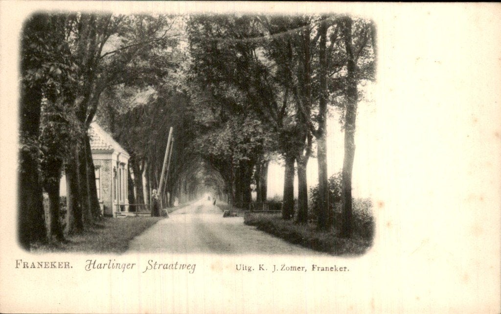 Franeker - Harlinger Straatweg - Bomenlaan, Ophalen of Verzenden, Voor 1920, Ongelopen, Friesland