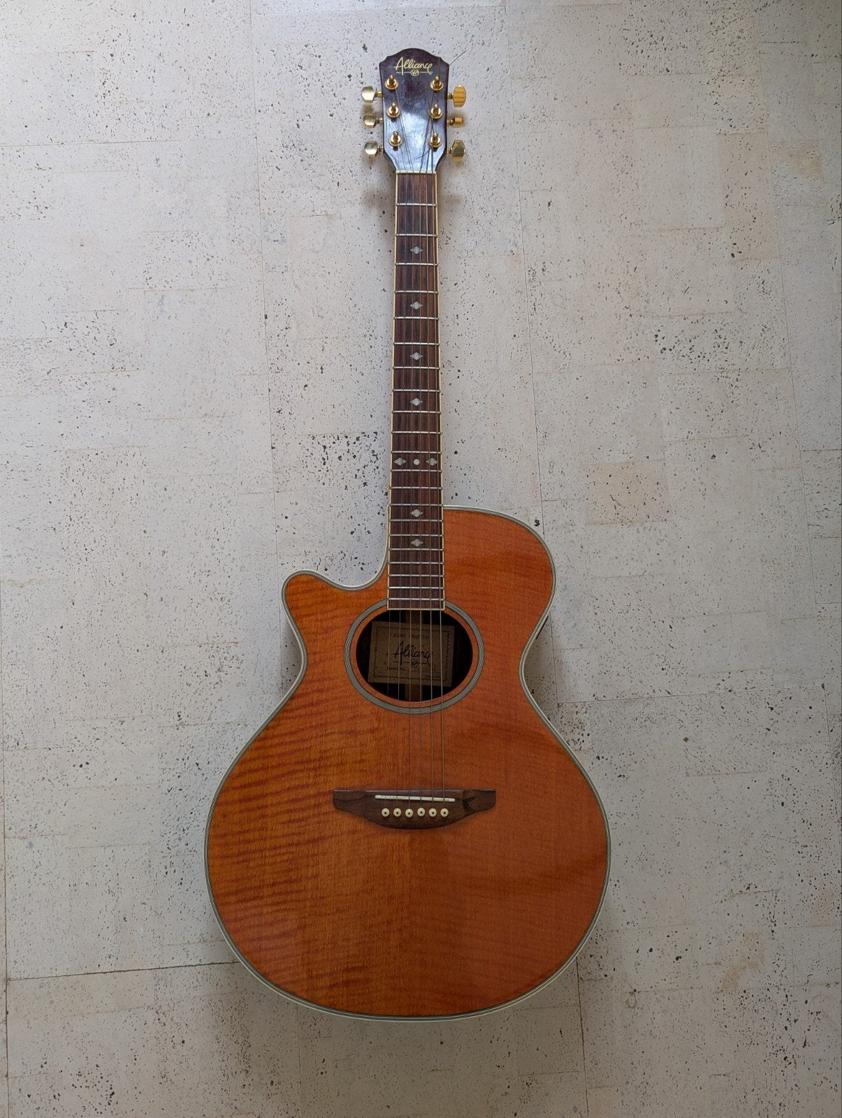 Linkshandige Alliance VP-08C-G electro-akoestische gitaar, Muziek en Instrumenten, Snaarinstrumenten | Gitaren | Akoestisch, Gebruikt