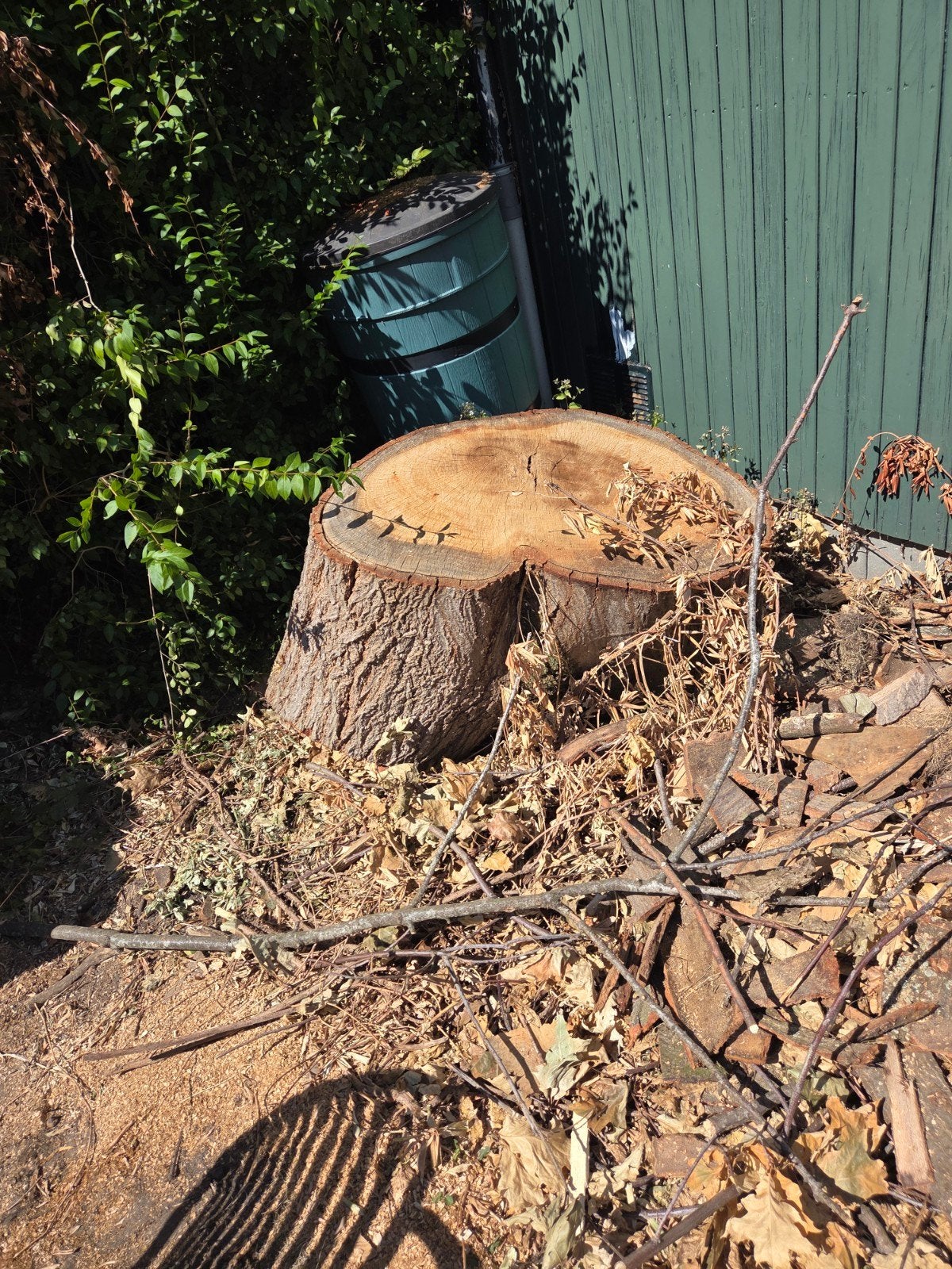 Groot stuk stam eikenhout, Doe-het-zelf en Verbouw, Hout en Planken, Ophalen, Gebruikt, Eiken, Overige typen