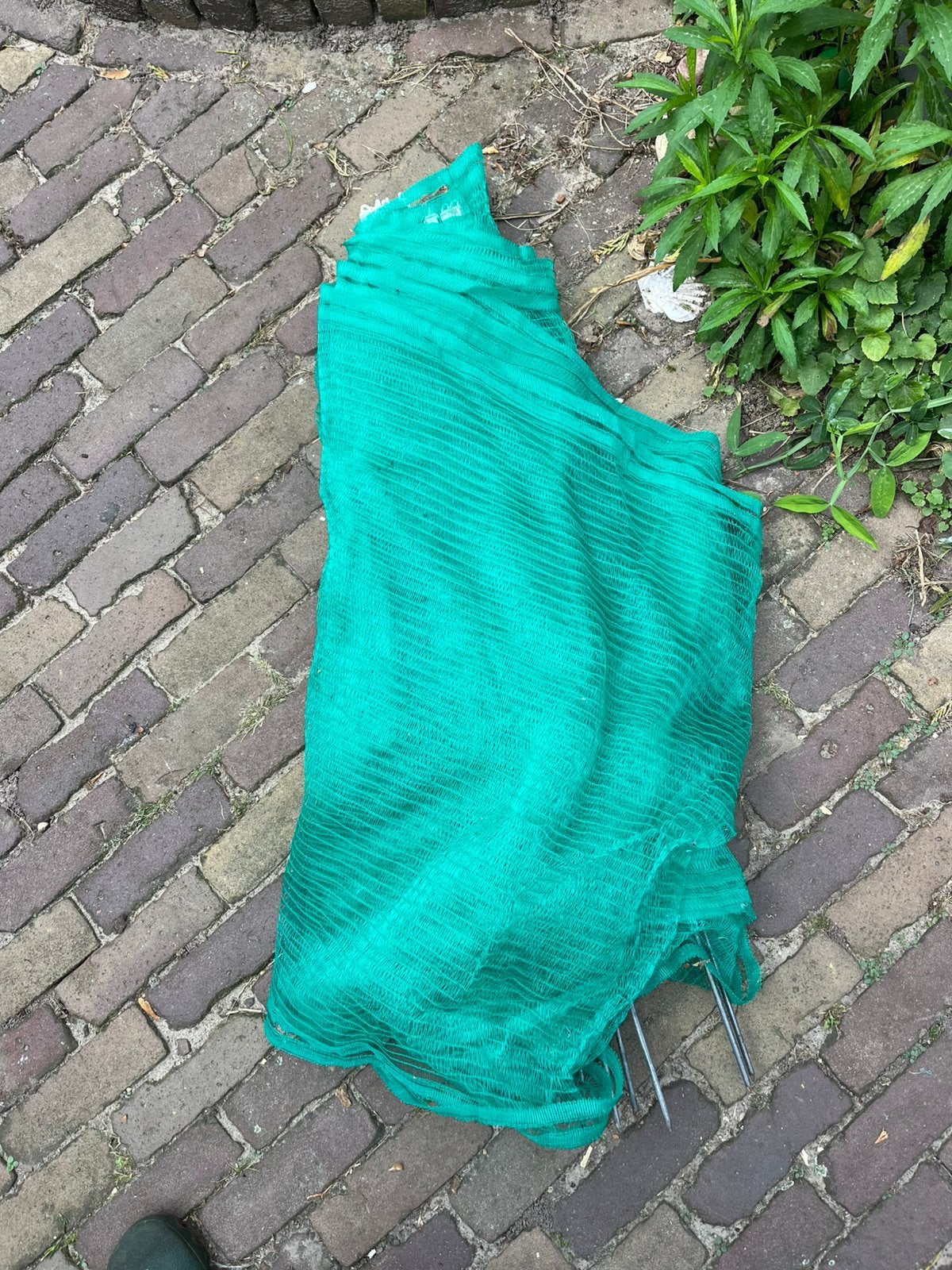 Hekje / gaas voor in de tuin 20 meter, Ophalen of Verzenden, Zo goed als nieuw, IJzer, Gaashekwerk