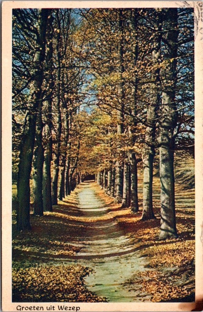 Wezep - 12 oude ansichtkaarten, Verzenden, 1960 tot 1980, Gelopen, Gelderland